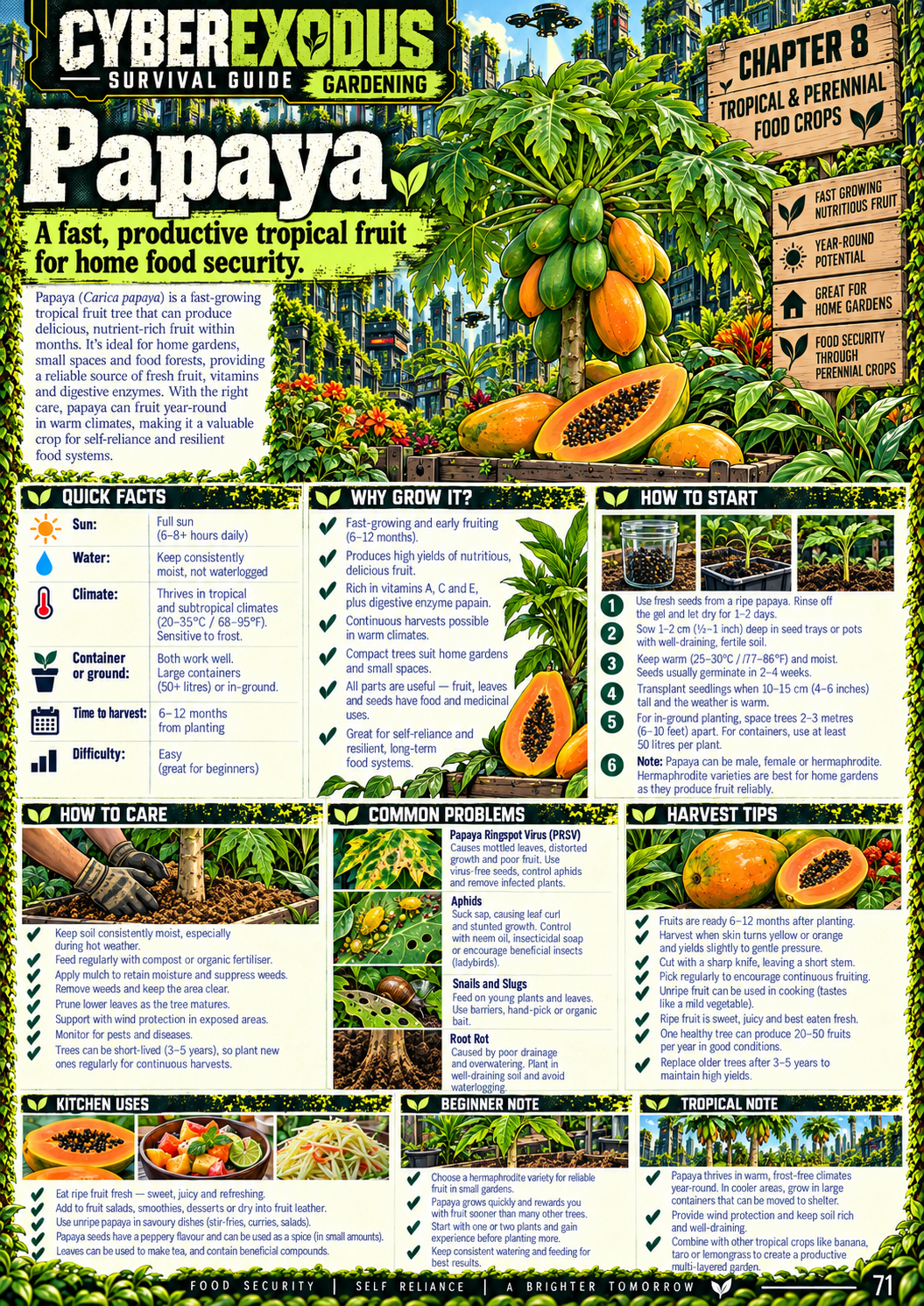 Papaya crop profile sample page
